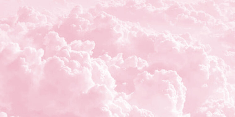 Tania banner image