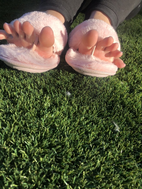 Sisterhood Of The Traveling Feet cover image
