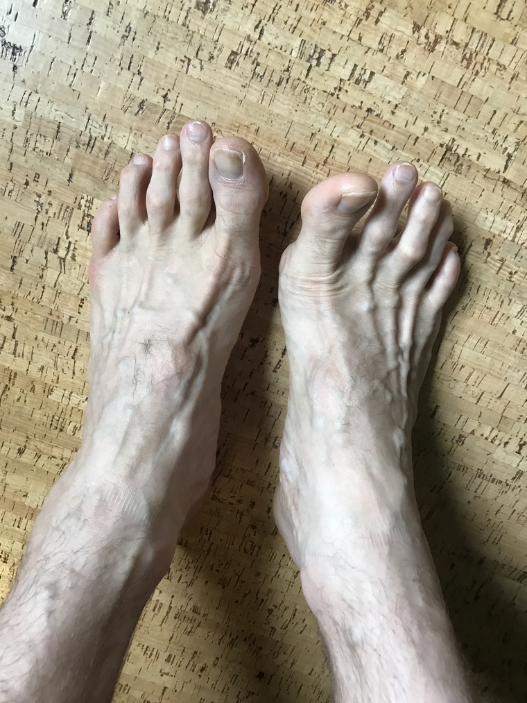 Size16Feet banner image