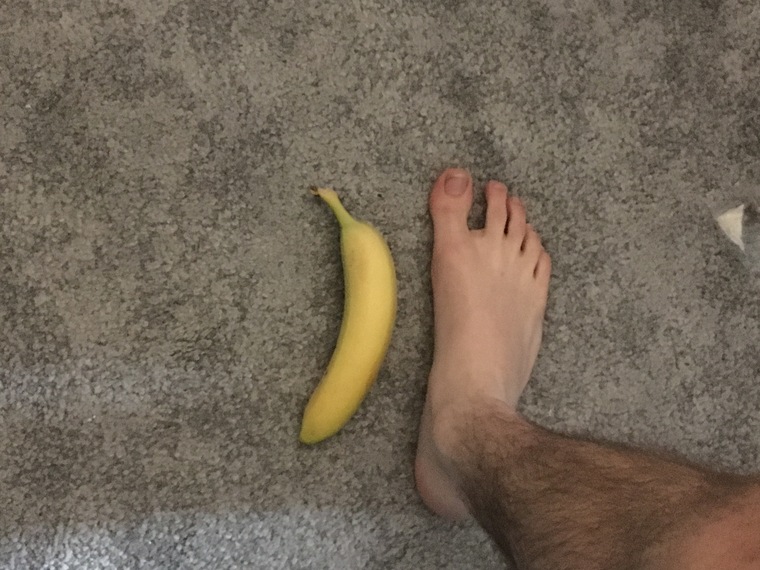 Size 47 Feet cover image