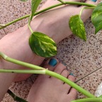 Size 7 avatar