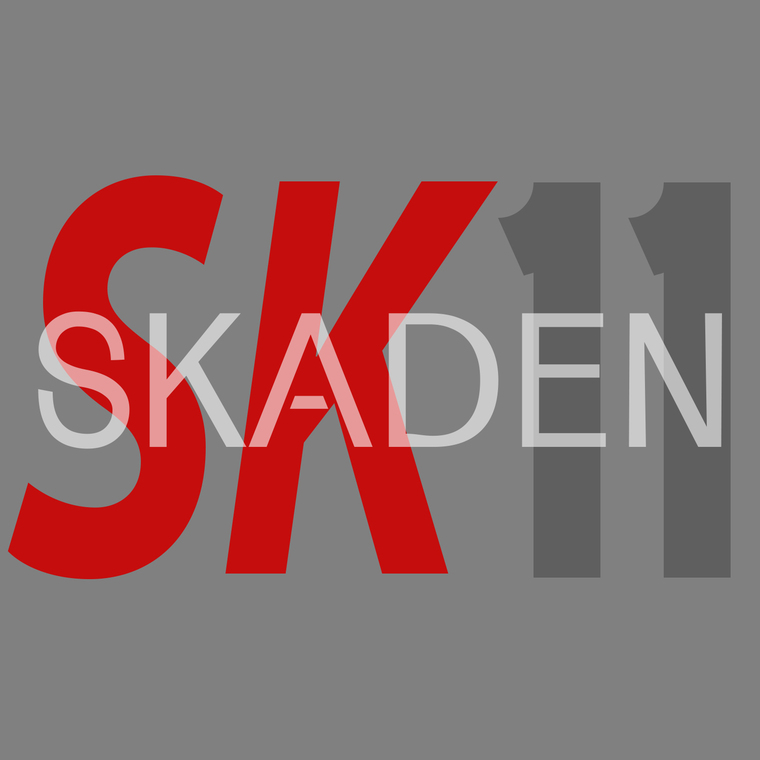Skaden11 banner image