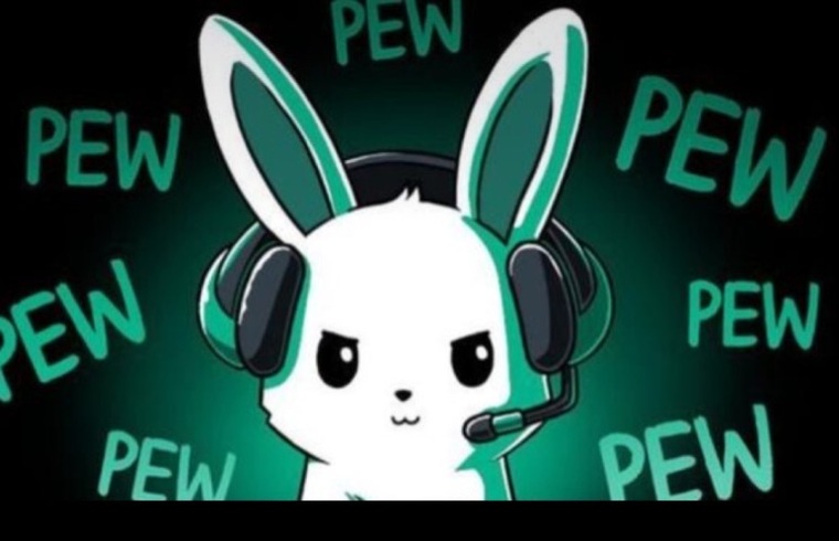 🐰 Ski Bunny cover image