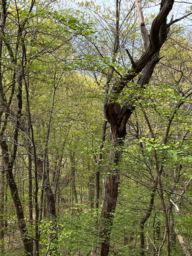 All Yours banner image