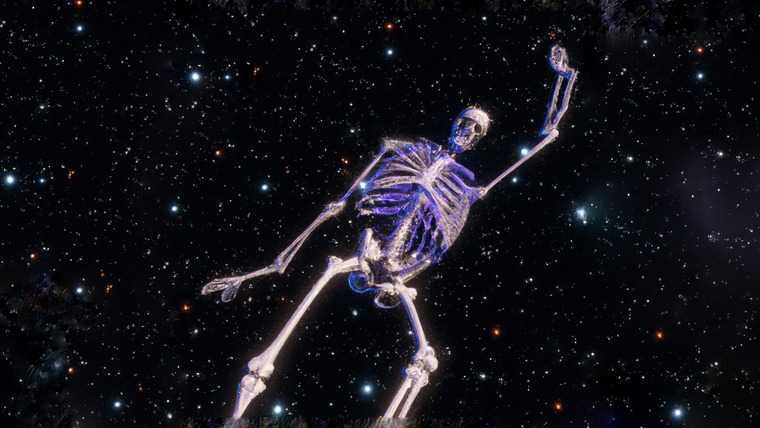 Skinny n Fun banner image