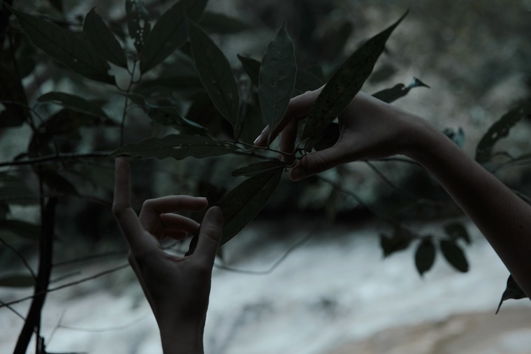 Skinny love cover image