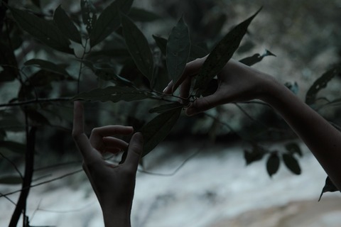 Skinny love cover image