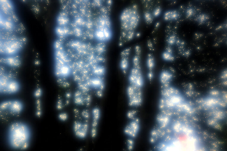 悠歌 cover image