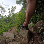 Skogen avatar