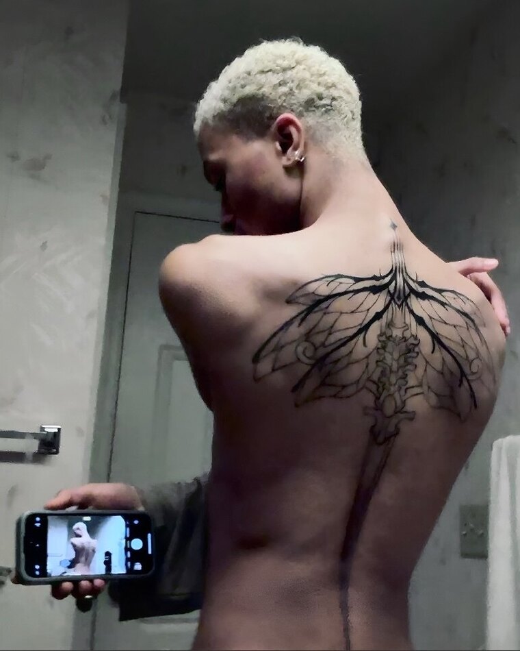 SkyeVixen ౨ৎ cover image
