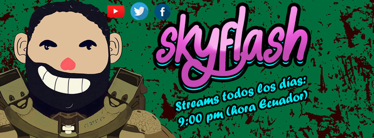Skyflash cover image