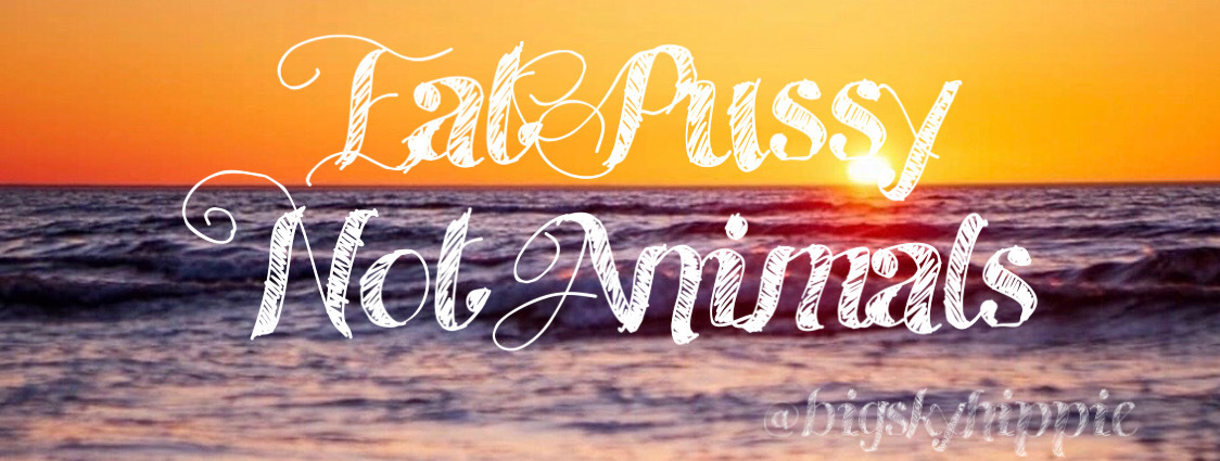 ☯️ ʏʞꙄ 🦋 𝔽ℝ𝔼𝔼 🦋 𝕋𝕠𝕡 𝟛𝟝% ☯️ banner image