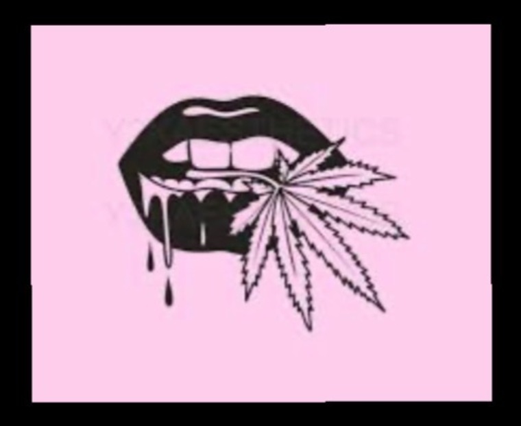 Stoned & Sexy cover image