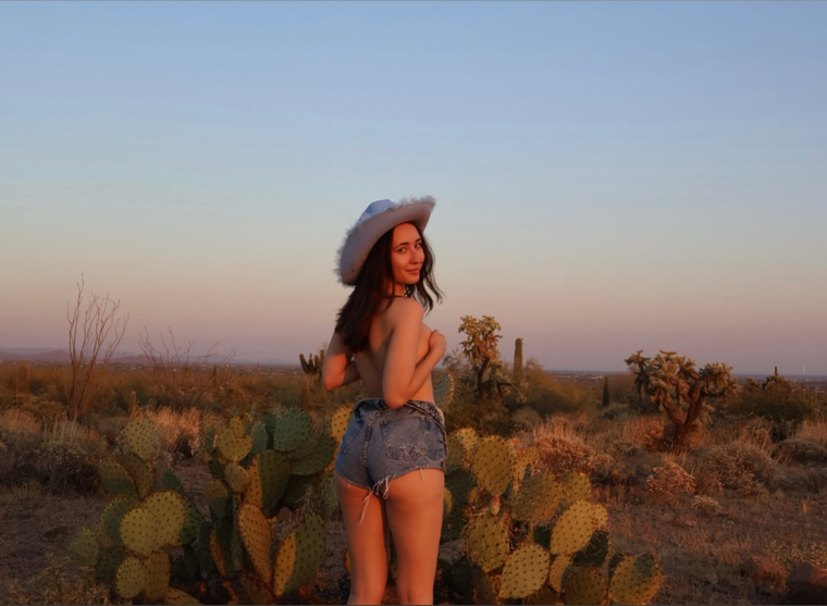 Skylar Shorts cover image