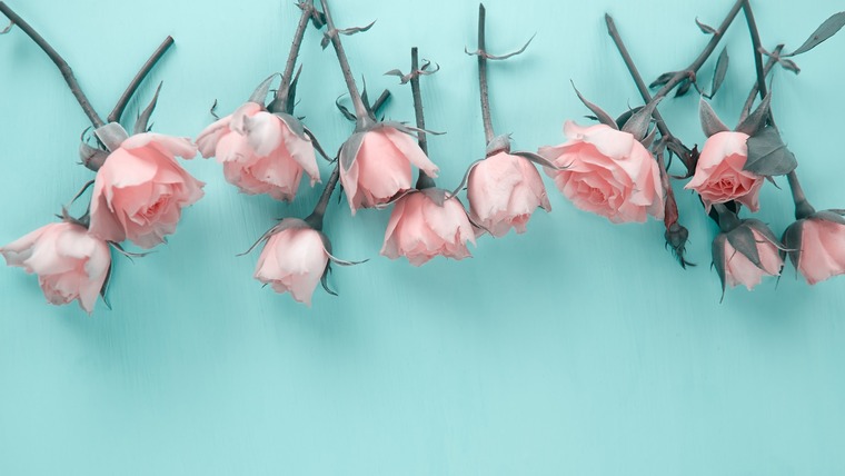 Skyler Lo cover image