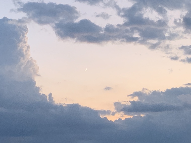 Sky Madison cover image