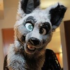 Skywere Wolf avatar