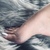 Wendy Feet avatar