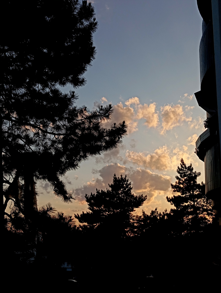 Slečna M cover image