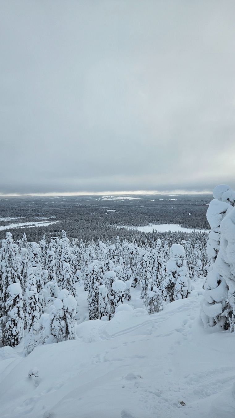 Sledguy cover image