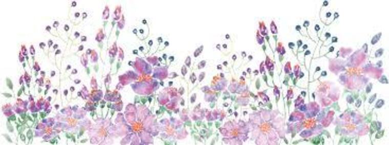 Heather Evans cover image