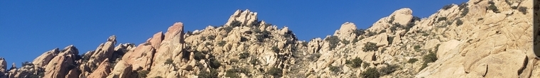 Rose (GingerF_____) banner image