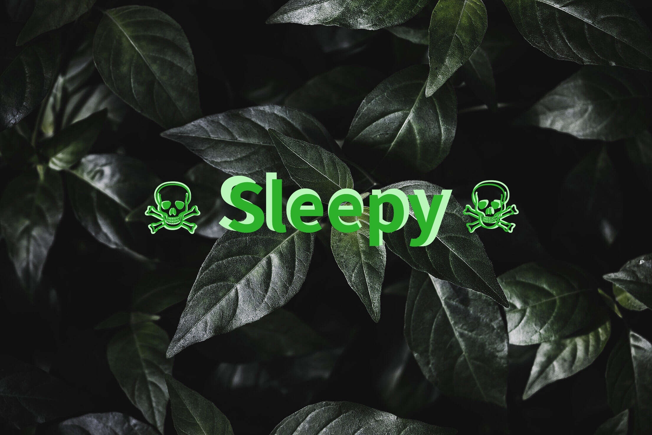 Sleepy banner image