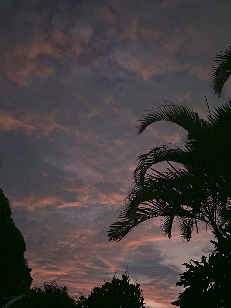 SLEESEE ❤️🔥 banner image