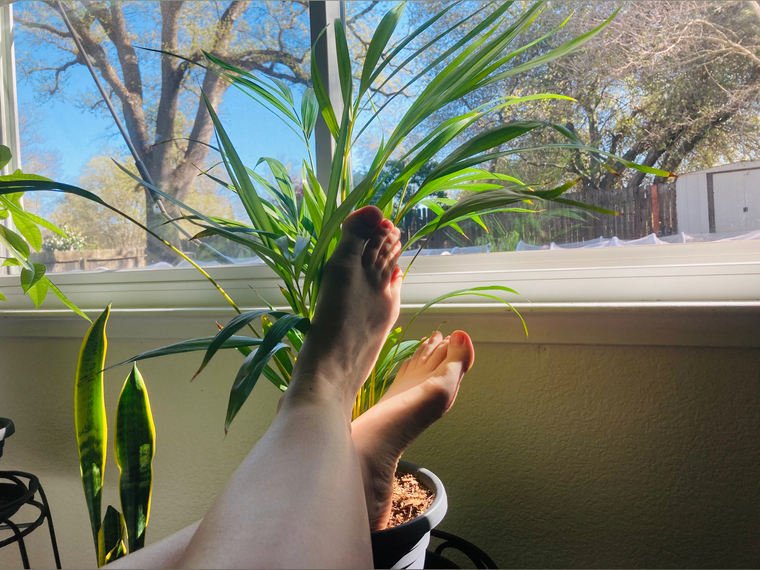 Adventures with slender feet & long toes banner image