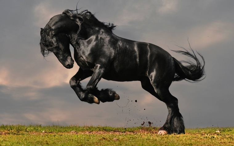 SlicktalianStallion cover image