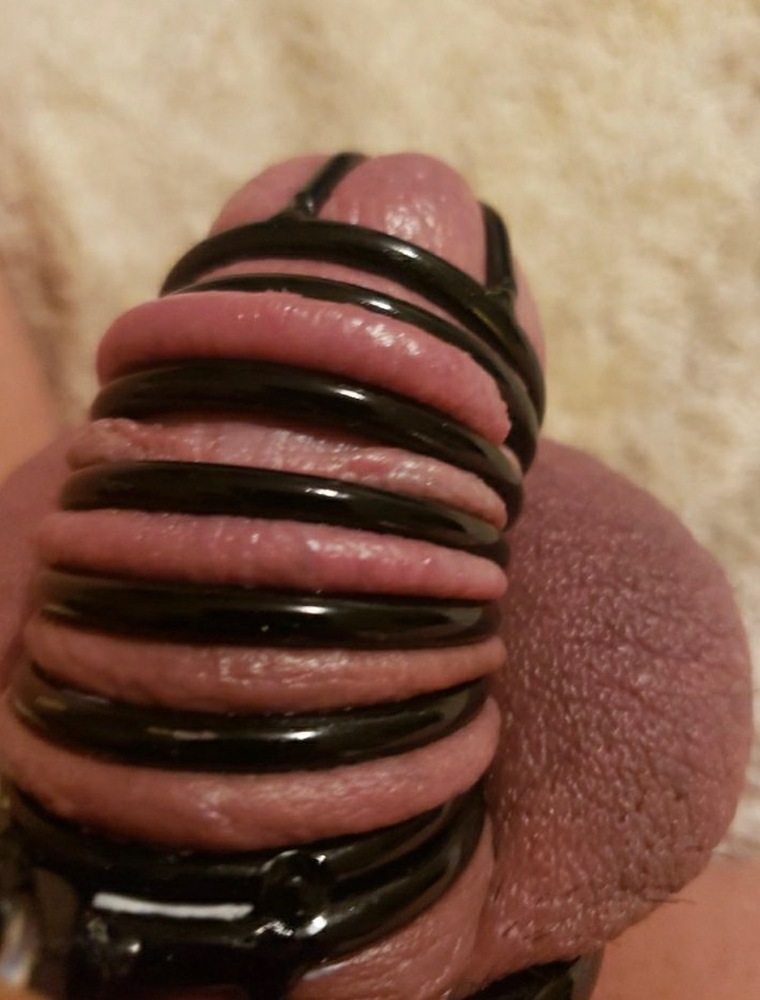Slim Phallus cover image