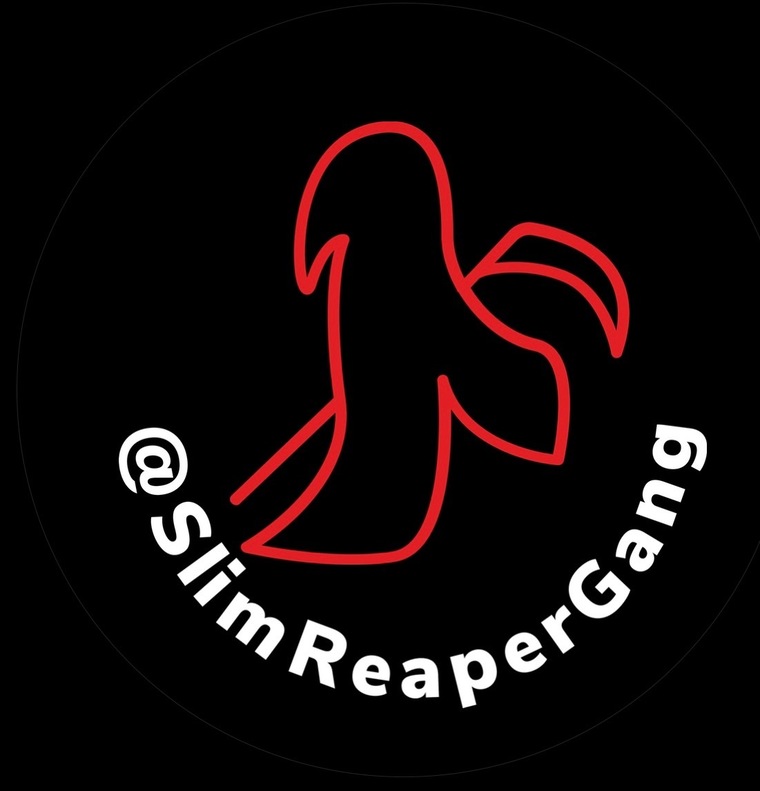 Slim Reaper cover image