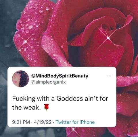 ms slim 🩷 cover image