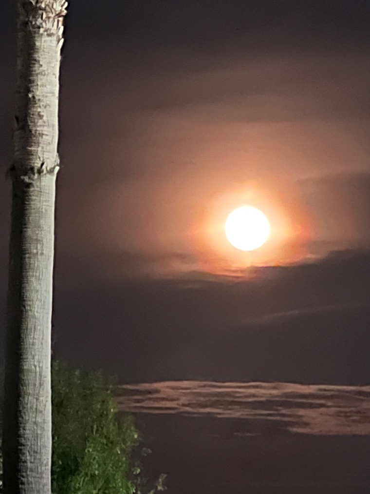 Wolfman banner image