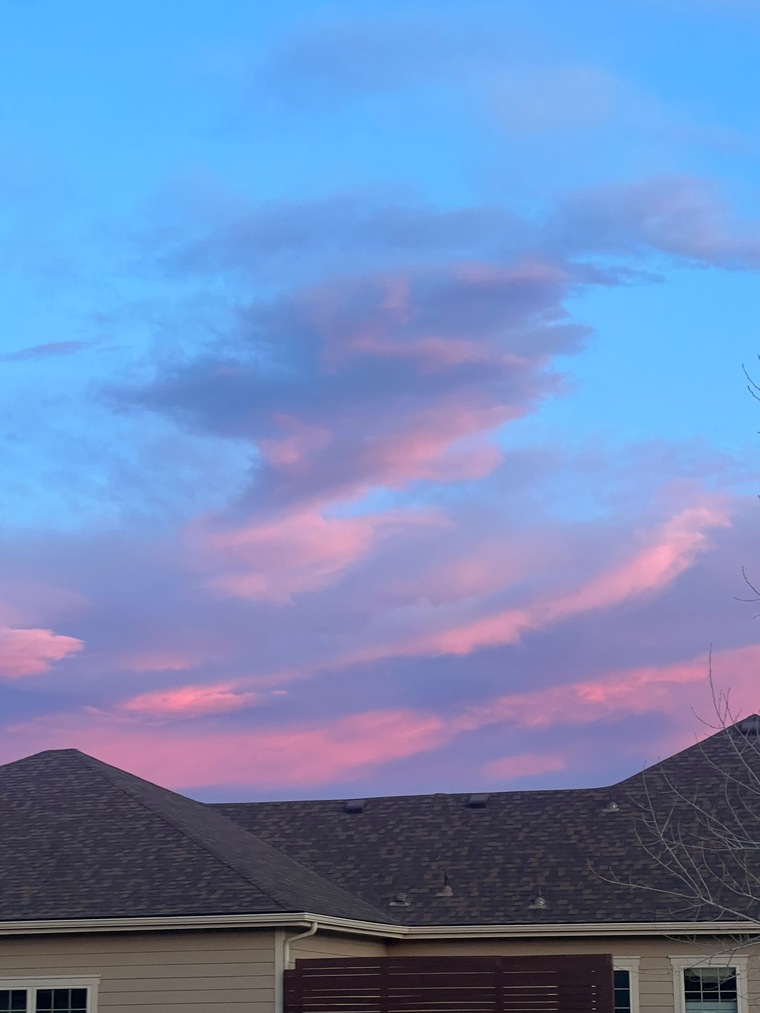 Miss Sloan Wulf banner image