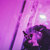 SLOPPYPOCKET avatar