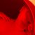 Slowmood avatar