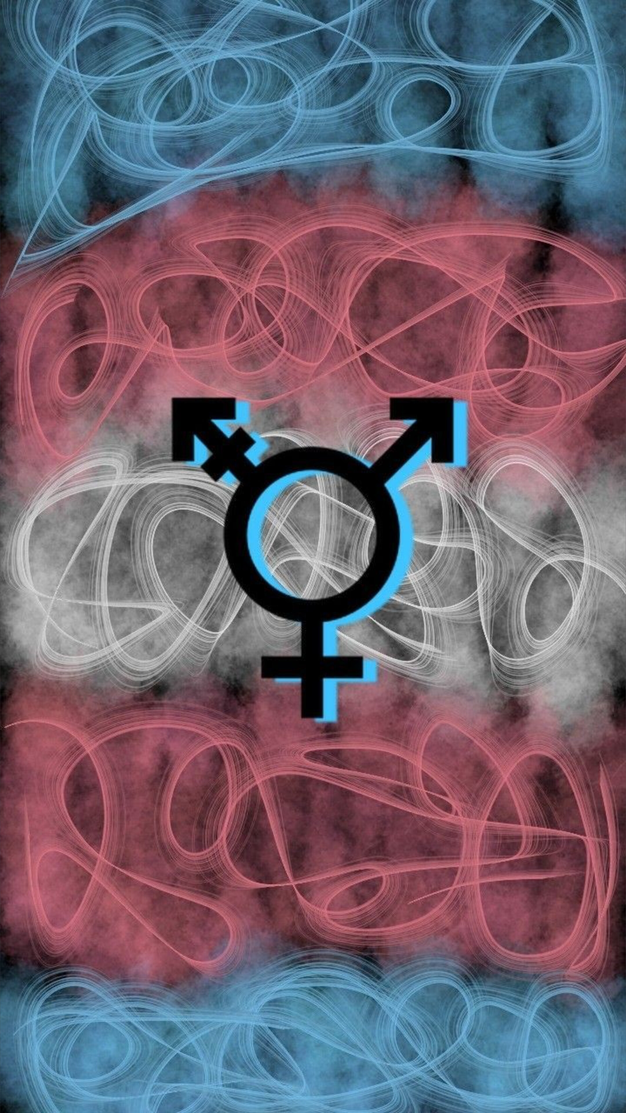 Sadie slycord banner image