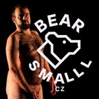 Small Bear avatar