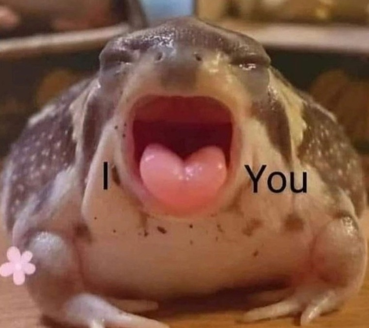 Baby Peech banner image
