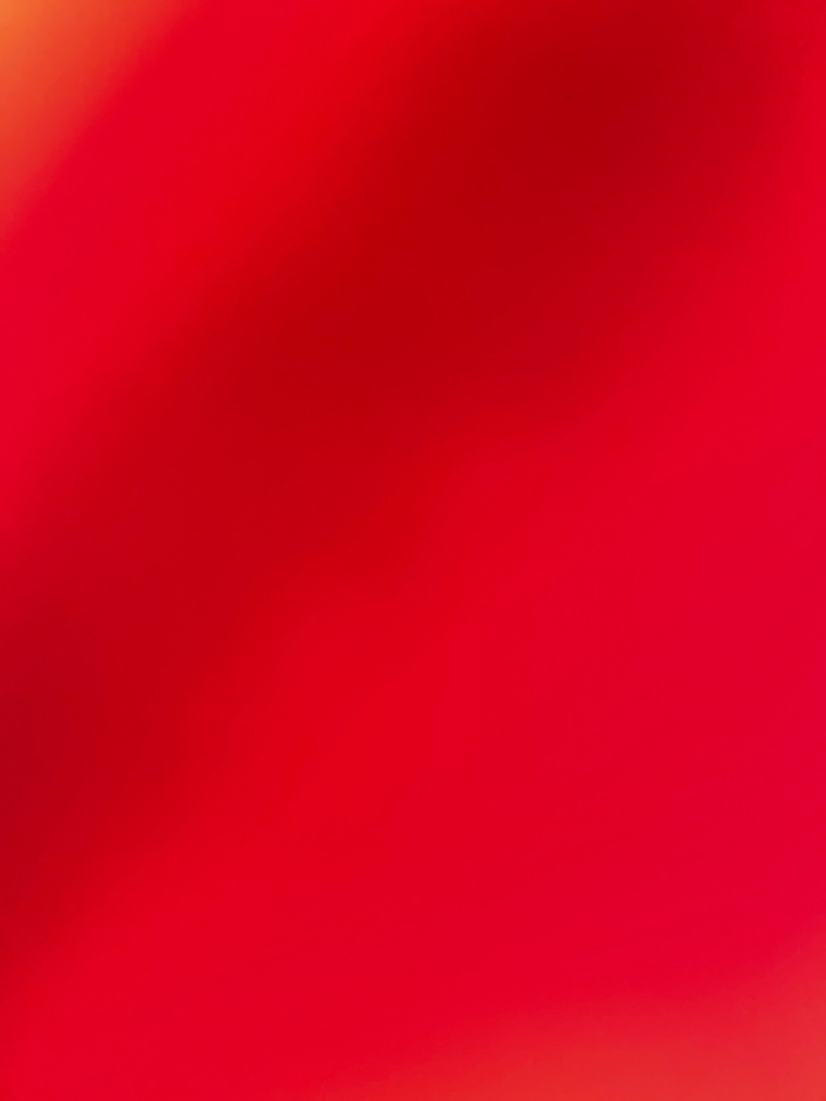 Adam cover image