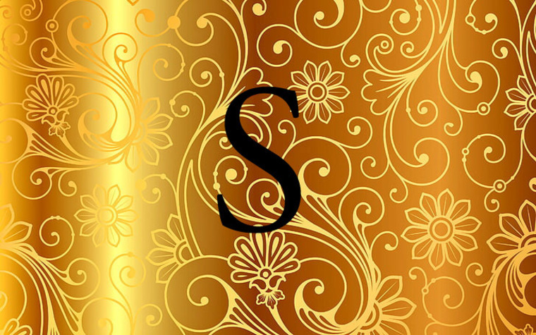 Ss banner image