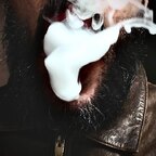 SMKRDOM avatar