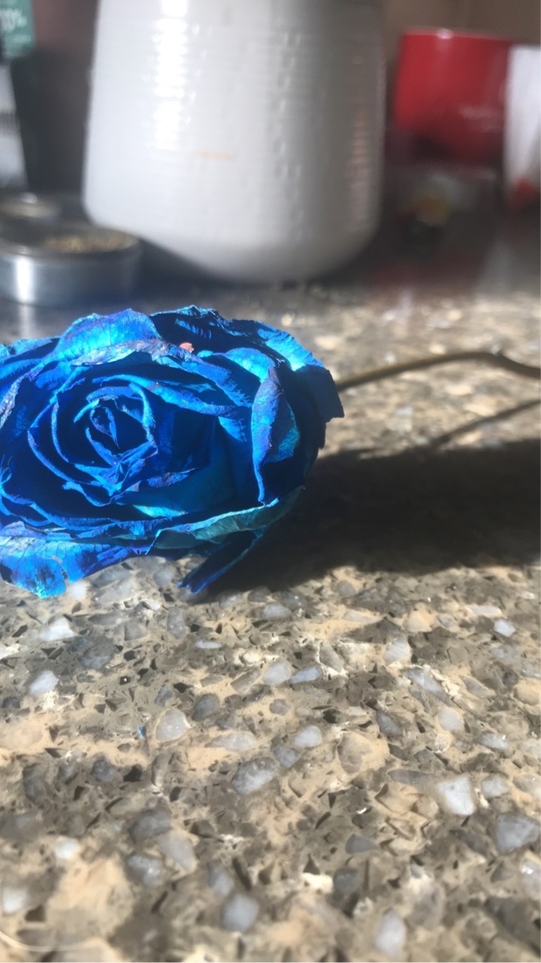 SmokingPrincessB banner image