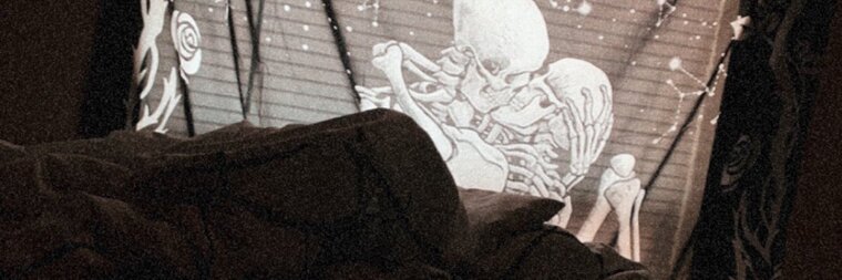 𓅓 cover image