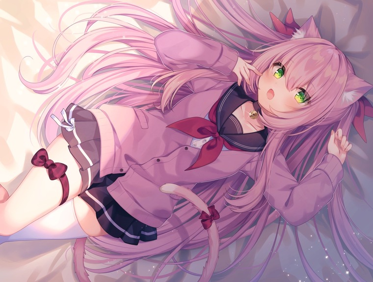 Kitty banner image