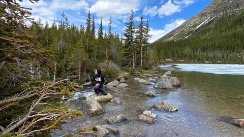 u111792015 cover image
