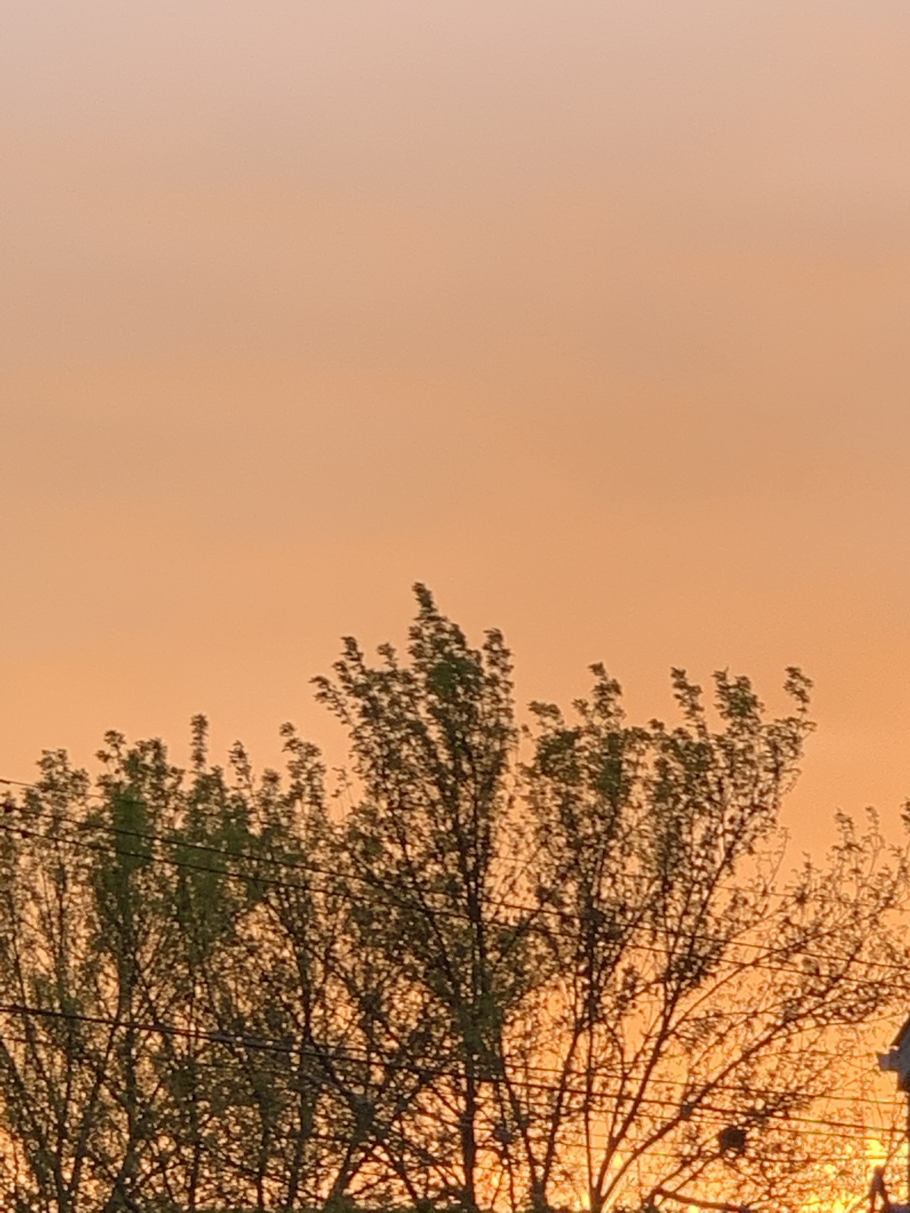 SVnLn banner image