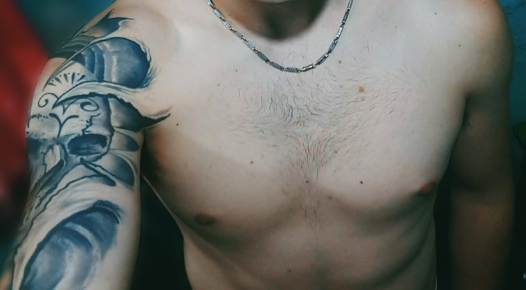 Snake cover image