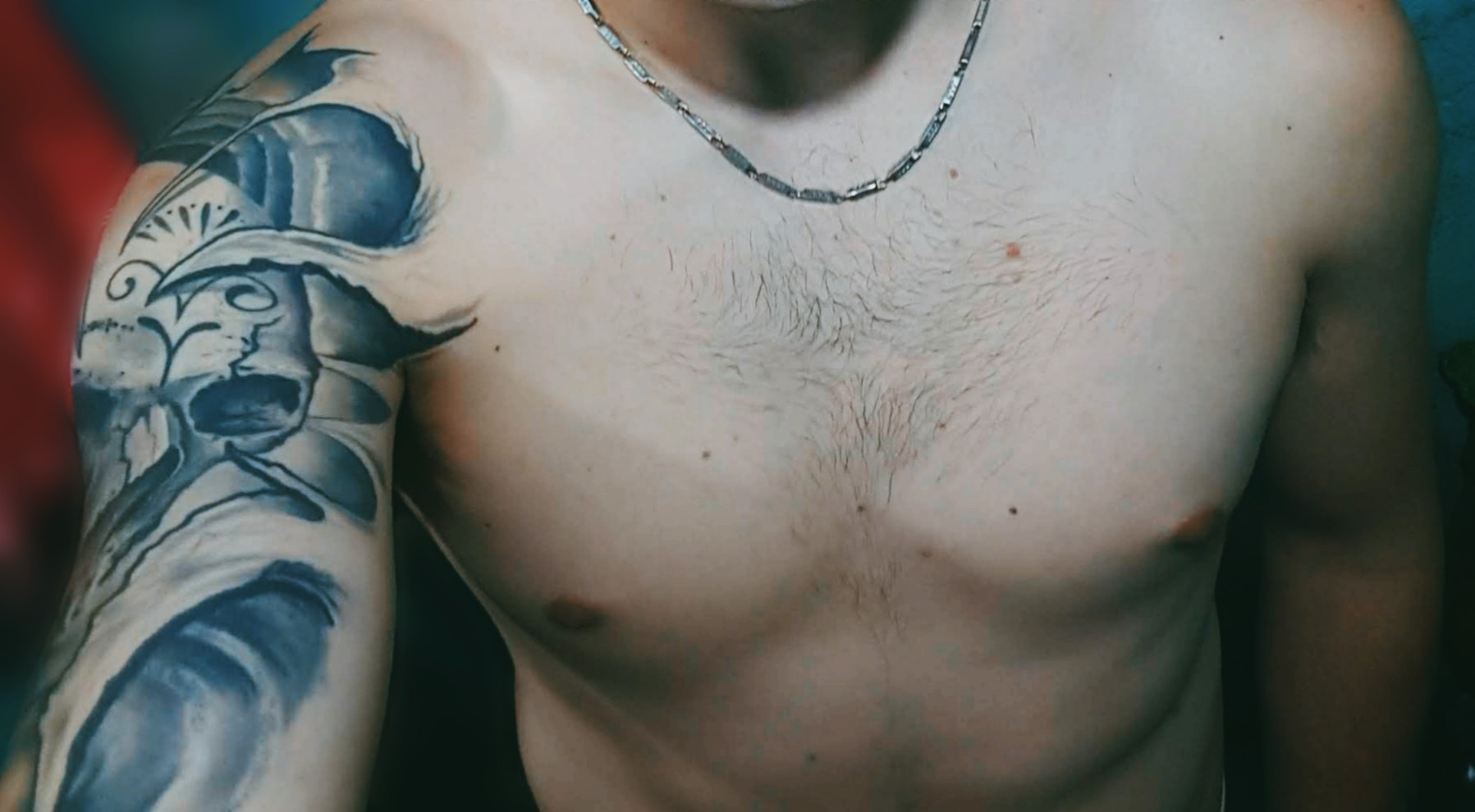 Snake banner image